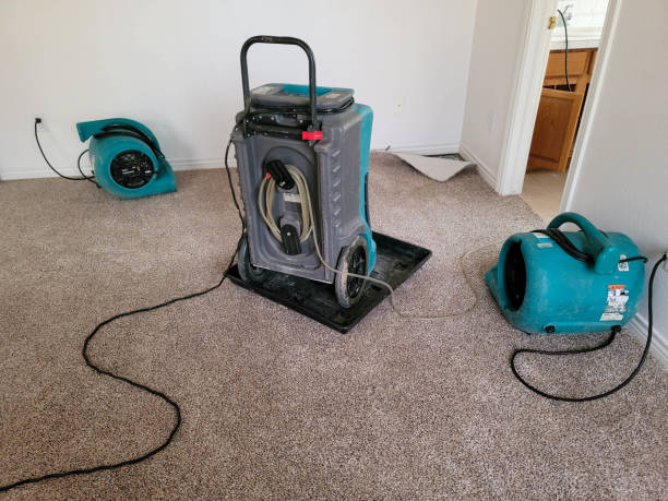 Best 24/7 water damage repair  in Sunnyside, GA