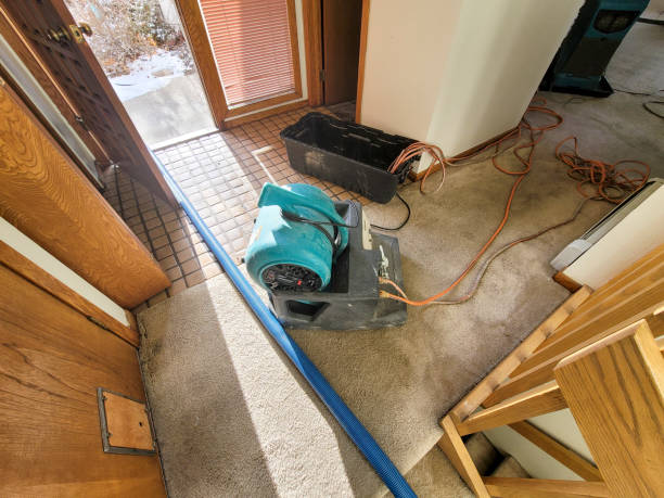 Best Water damage restoration near me  in Sunnyside, GA