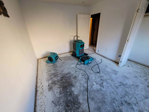 Best Residential water damage restoration  in Sunnyside, GA