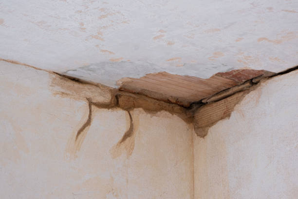 Best Emergency water damage restoration  in Sunnyside, GA