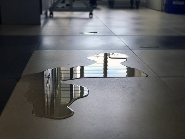 Best 24/7 water damage repair  in Sunnyside, GA
