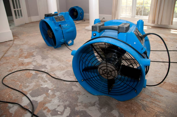 Best 24/7 water damage repair  in Sunnyside, GA
