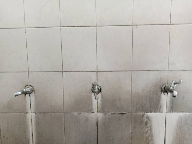 Best Flood restoration services  in Sunnyside, GA