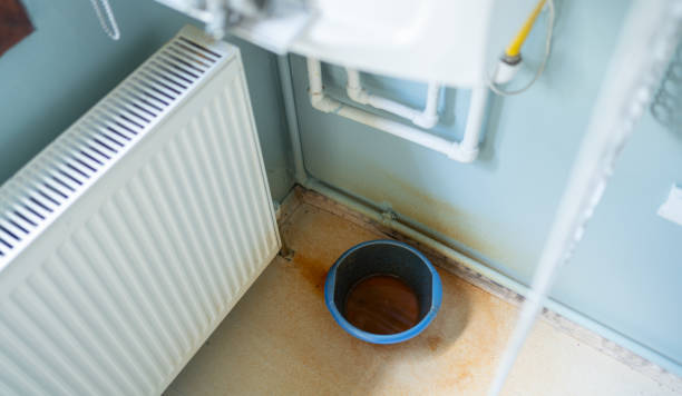 Best Flooded house restoration  in Sunnyside, GA