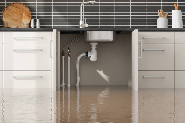 Best Professional water damage repair  in Sunnyside, GA