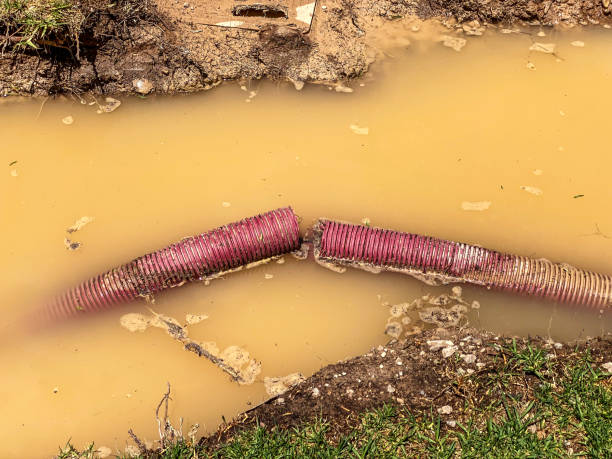 Best Local water damage restoration  in Sunnyside, GA
