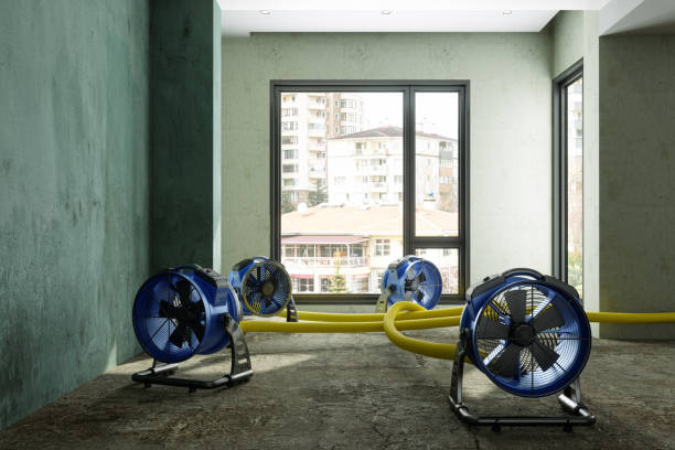 Best Flood restoration services  in Sunnyside, GA