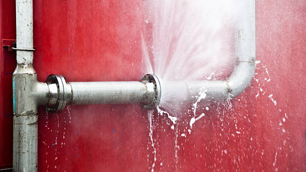 Best Water damage repair service  in Sunnyside, GA